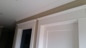 Door trim